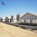 Prefab custom poultry farm steel structure house 10000 pcs chicken broiler house steel metal sheds for poultry farm for sale